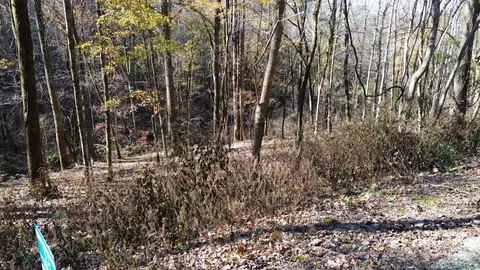 16 Lake Vw, Smithville, TN 37166
