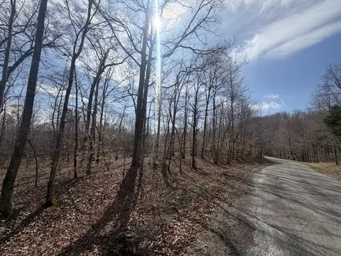 1 Highway Coxburg Rd S, Holladay, TN 38341