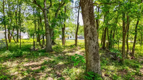 Exterior - 101 Cherry Blossom Way, Dickson, TN 37055 photo 3 of 3