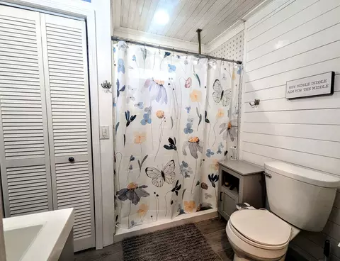 Bath - 722 Hickory St, Centerville, TN 37033 photo 1 of 2