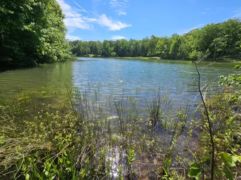 24 Blumont Dr, Altamont, TN 37301