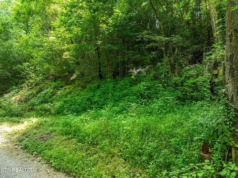 174 Old Ivey Hollow Rd, La Follette, TN 37766