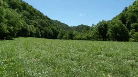 5155 Brimstone Creek Rd, Moss, TN 38575