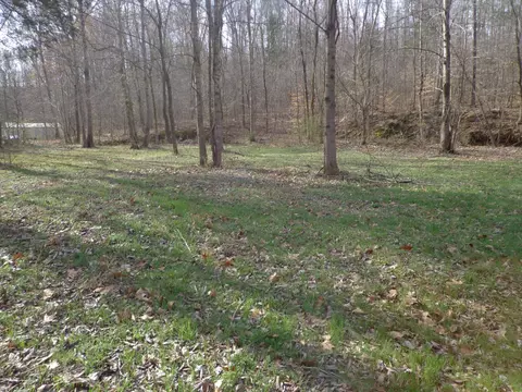 0 Ennis Branch Rd, Mcewen, TN 37101