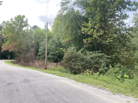 0 Highway 140 E, Buchanan, TN 38222 photo 11