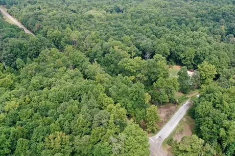 0 Highway 140 E, Buchanan, TN 38222 photo 3