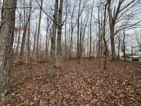 0 Chestnut St, Centerville, TN 37033 photo 12