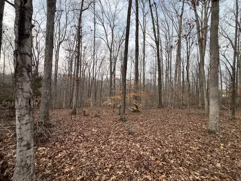 0 Chestnut St, Centerville, TN 37033 photo 11