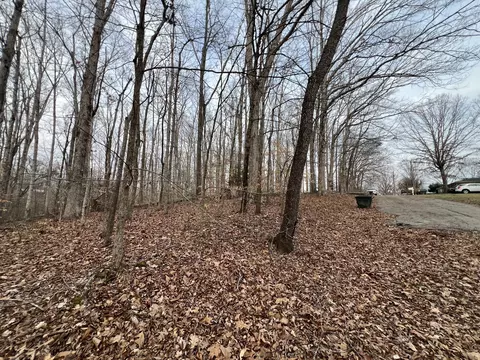 0 Chestnut St, Centerville, TN 37033 photo 4