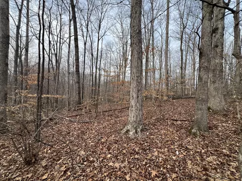 0 Chestnut St, Centerville, TN 37033 photo 6