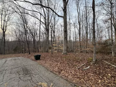 0 Chestnut St, Centerville, TN 37033 photo 9