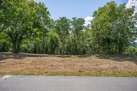 0 Harbor Pointe Dr, Silver Point, TN 38582 photo 15