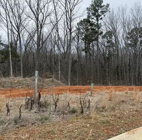 0 Liberty Park, Clarksville, TN 37042