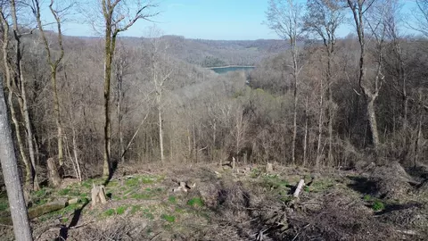0 Lola Dr Lots 213 237, Smithville, TN 37166