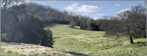 5335 Browning Branch Rd, Bethpage, TN 37022
