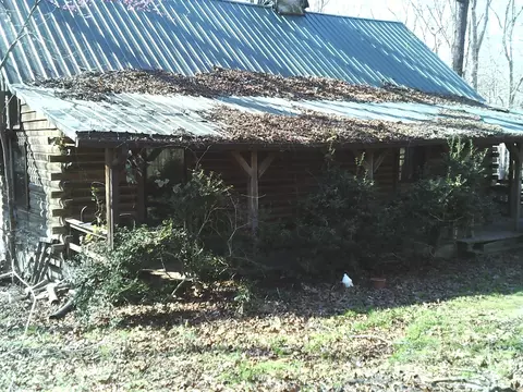 174 Sugar Maple Dr, Dover, TN 37058 photo 4