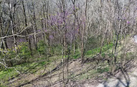 0 Wilson Cir, Smithville, TN 37166
