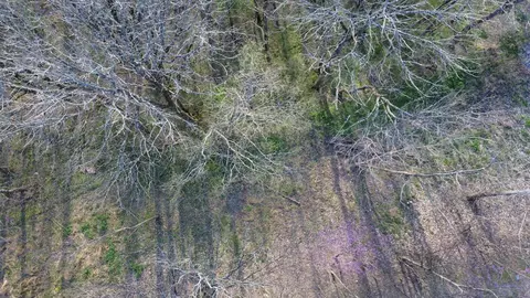 0 Wilson Cir, Smithville, TN 37166