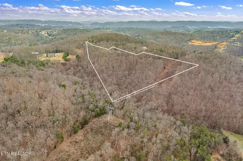 8687 Emerson Way, Powell, TN 37849 photo 34