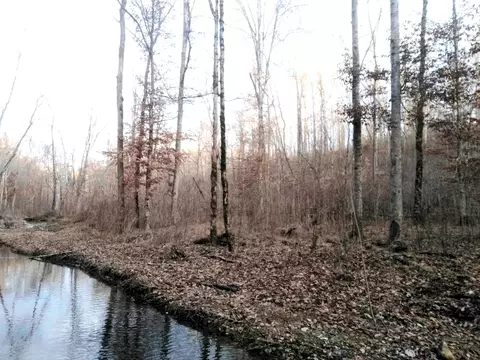 0 Deer Rdg, Waynesboro, TN 38485