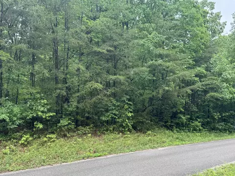 18 Avenue, Gruetli Laager, TN 37339