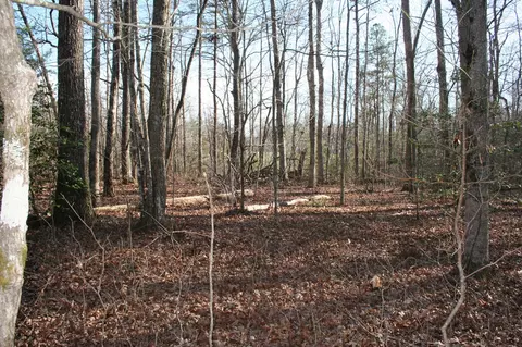 18 Avenue, Gruetli Laager, TN 37339