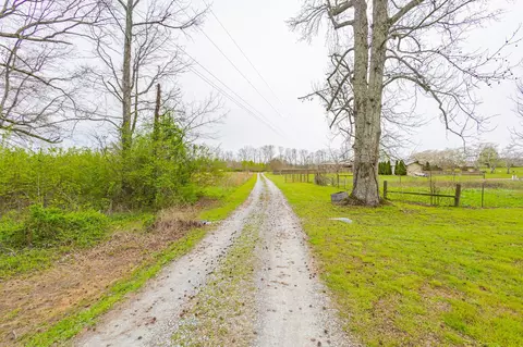 Other - 173 Bellview Rd, Taft, TN 38488 photo 4 of 40