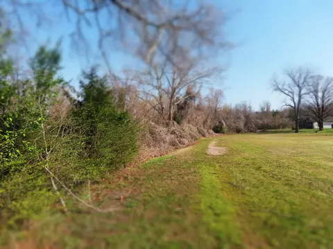0 Highway 125 N, Toone, TN 38381