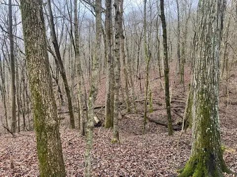 0 Talley Top Trl, Huntland, TN 37345