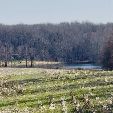 0 Cabbage Patch Rd, Altamont, TN 37301 photo 2