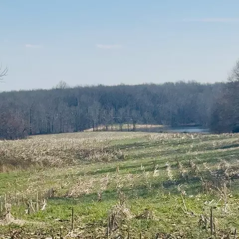 0 Cabbage Patch Rd, Altamont, TN 37301