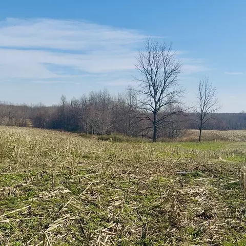 0 Cabbage Patch Rd, Altamont, TN 37301 photo 5