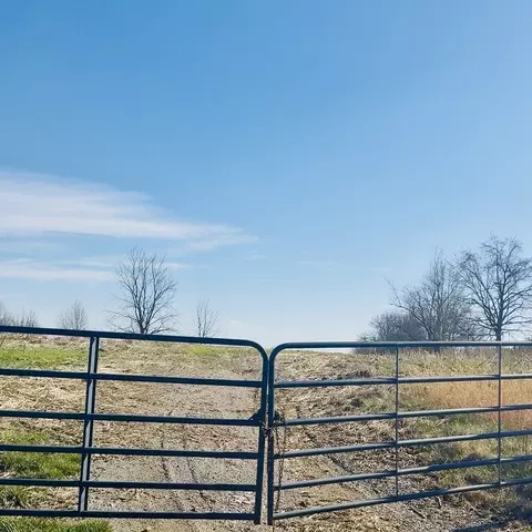 0 Cabbage Patch Rd, Altamont, TN 37301 photo 8
