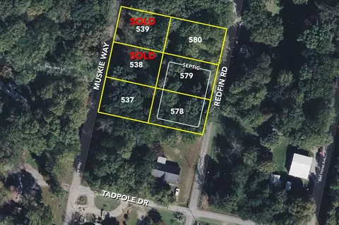 0 Redfin Rd, Scottsville, KY 42164