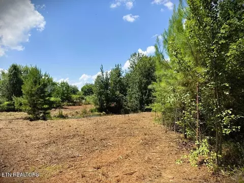 0 Marcrom Rd, Morrison, TN 37357 photo 19