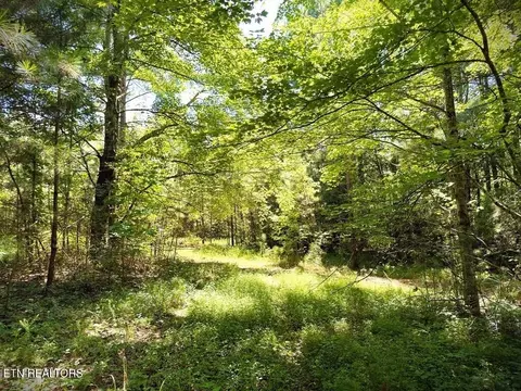 0 Marcrom Rd, Morrison, TN 37357 photo 6