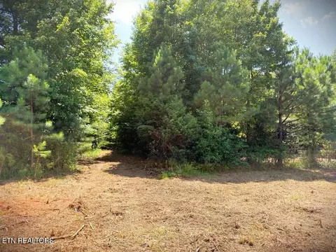 0 Marcrom Rd, Morrison, TN 37357 photo 20