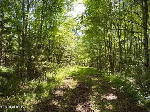 0 Marcrom Rd, Morrison, TN 37357 photo 2