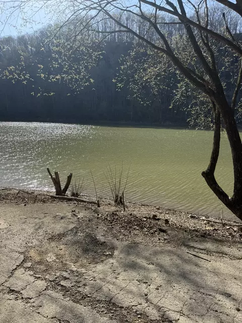 View/Area - 4291 Webbs Camp Rd, Walling, TN 38587 photo 14 of 14