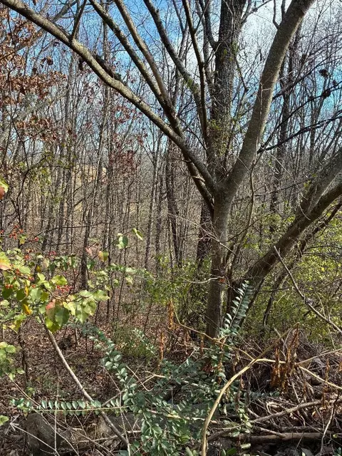 0 Poplar Dr #LOT 31, Sweetwater, TN 37874
