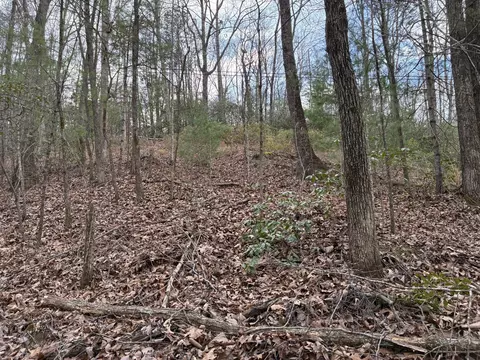 0 Chestnut Mountain Rd, Reliance, TN 37369