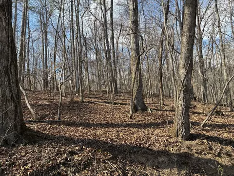 0 Eagle Point Dr #LOT 8, Rockwood, TN 37854