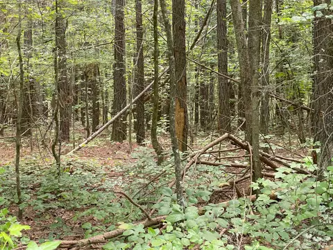 502 County Road 285, Niota, TN 37826