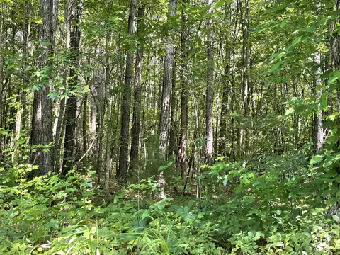 501 County Road 285, Niota, TN 37826