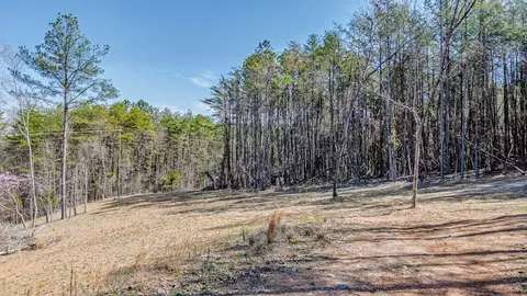 2100 Cottonport Ridge Road Rd, Decatur, TN 37322