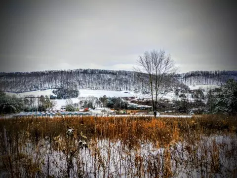 455 County Road 280, Niota, TN 37826