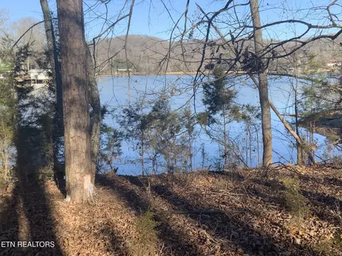 91 Bending Bow Dr, Ten Mile, TN 37880