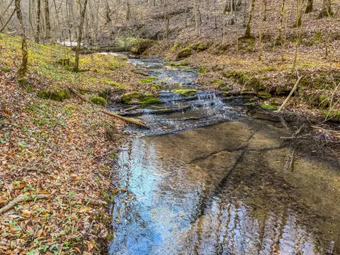 0 Bryant Boswell Rd, Westpoint, TN 38486