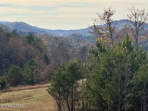 1 Three Point Rd, Vonore, TN 37885