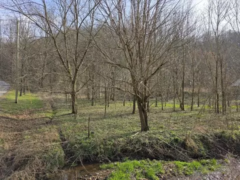 0 Austin Holw, Pleasant Shade, TN 37145